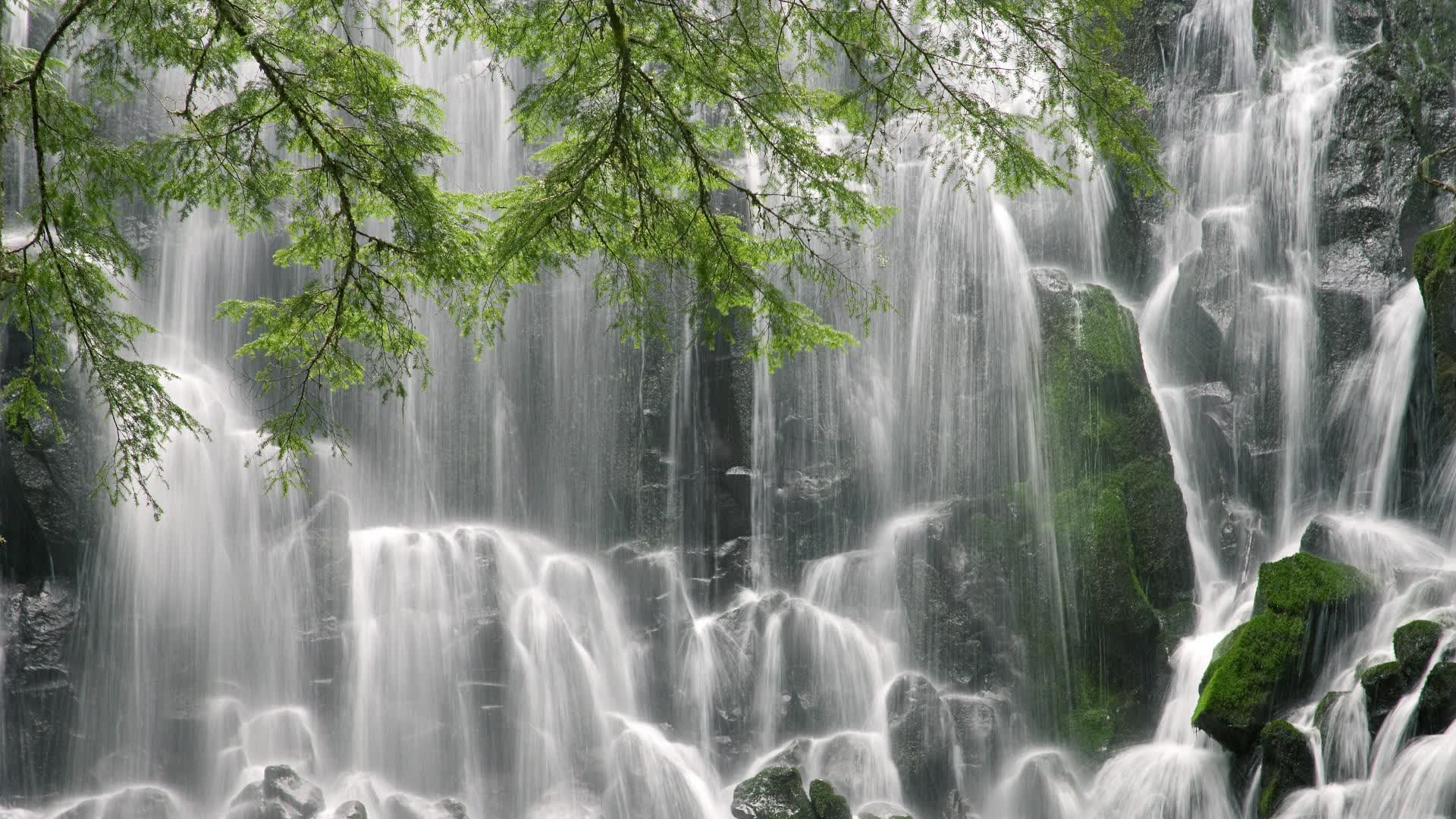世界举重线上复训平台案例分享:基层复训效果显著,举重运动员辅助训练
